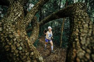 BIB: 
                            <button type="button" onclick="openModal(25668709)" class="btn btn-primary btn-sm float-right btn-popup" data-toggle="modal" data-target=".modal-high-quality">
                        <i class="fas fa-shopping-cart"></i> Add to Cart
                    </button>
                                            <button type="button" onclick="isThisMe(25668709, true)" class="btn btn-success btn-sm float-right btn-popup btn-isme hidden" data-toggle="tooltip" data-placement="bottom" title="นี่คือรูปของคุณใช่ไหม คลิกที่นี่เพื่อเอาเข้าอัลบั้ม">
                        <i class="fas fa-plus"></i> Add to album
                    </button>
                    <button type="button" onclick="isThisMe(25668709, false)" class="btn btn-warning btn-sm float-right btn-popup btn-isnotme hidden">
                        <i class="fas fa-ban"></i> Remove from album
                    </button>